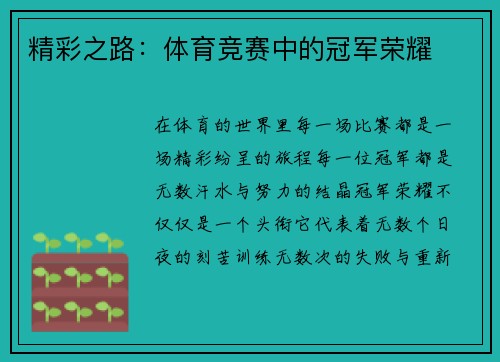 精彩之路：体育竞赛中的冠军荣耀